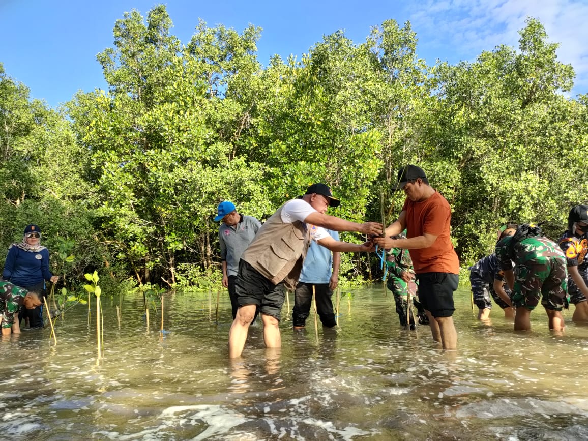 Penanaman 2700 Mangrove
